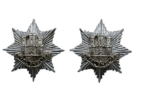 British Royal Anglian Regiment Staybright Collars Insignia