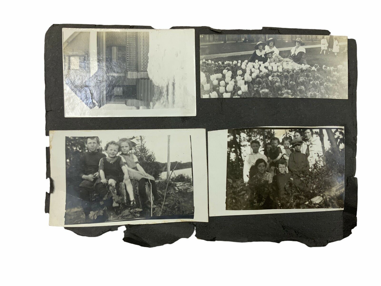 WW1 Canadian CEF RNCVR Family Photo Grouping 34 Pictures WW1 Canadian CEF RNCVR Family Photo Grouping 34 Pictures