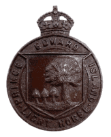 WW2 Canadian Prince Edward Island Light Horse Cap Badge