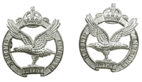 WW2 British Army Glider Pilot Regiment Collar Badge Insignia Pair