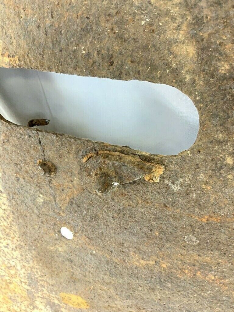 WW1 Imperial German Army Sniper Marksman Shield WW1 Imperial German Army Sniper Marksman Shield