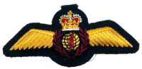 Canadian Forces RCAF Navigator Trade Wings Brevet Canadian Forces RCAF Navigator Trade Wings Brevet