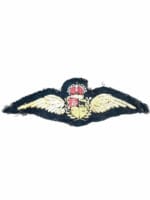 WW2 South African Air Force SAAF Pilots Wing 1