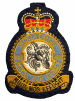 British RAF 206 Squadron Crest Patch