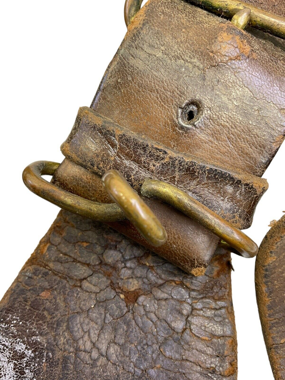 WW1 Canadian CEF Officers Leather Snake Belt With Sword Hangers WW1 Canadian CEF Officers Leather Snake Belt With Sword Hangers