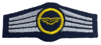 West German Airforce Trade Wings Patch Insignia