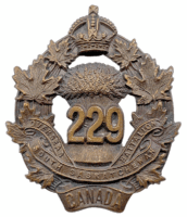 WW1 Canadian CEF 229th Battalion Cap Badge