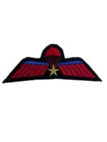 Dutch Holland Netherlands Marine Commando Airborne Jump Para Wing