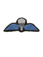 Indian India Basic Para Airborne Jump Wing