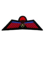 Dutch Holland Netherlands Marine Commando Instructor Airborne Jump Para Wing