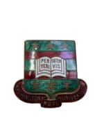 US Army DUI Washington University ROTC Collar Insignia