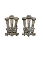 British Royal Regiment Of Wales Silver Officers Collars Insignia Pair
