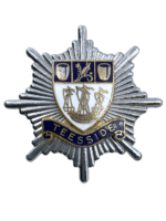 British Teesside Tyne & Wear Police Constabulary Cap Badge 2