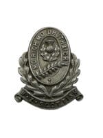 WW2 New Zealand Scottish Collar Insignia Single