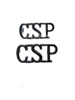 British Central Scotland Constabulary Police Shoulder Titles Pair