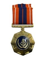 South African Defence Force SADF Pro Patria Medal Full Size Numbered