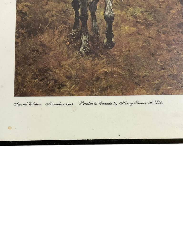 Victorian British Royal Scots Greys 1896 Print On Board 16 X 11 Inch Vintage Victorian British Royal Scots Greys 1896 Print On Board 16 X 11 Inch Vintage