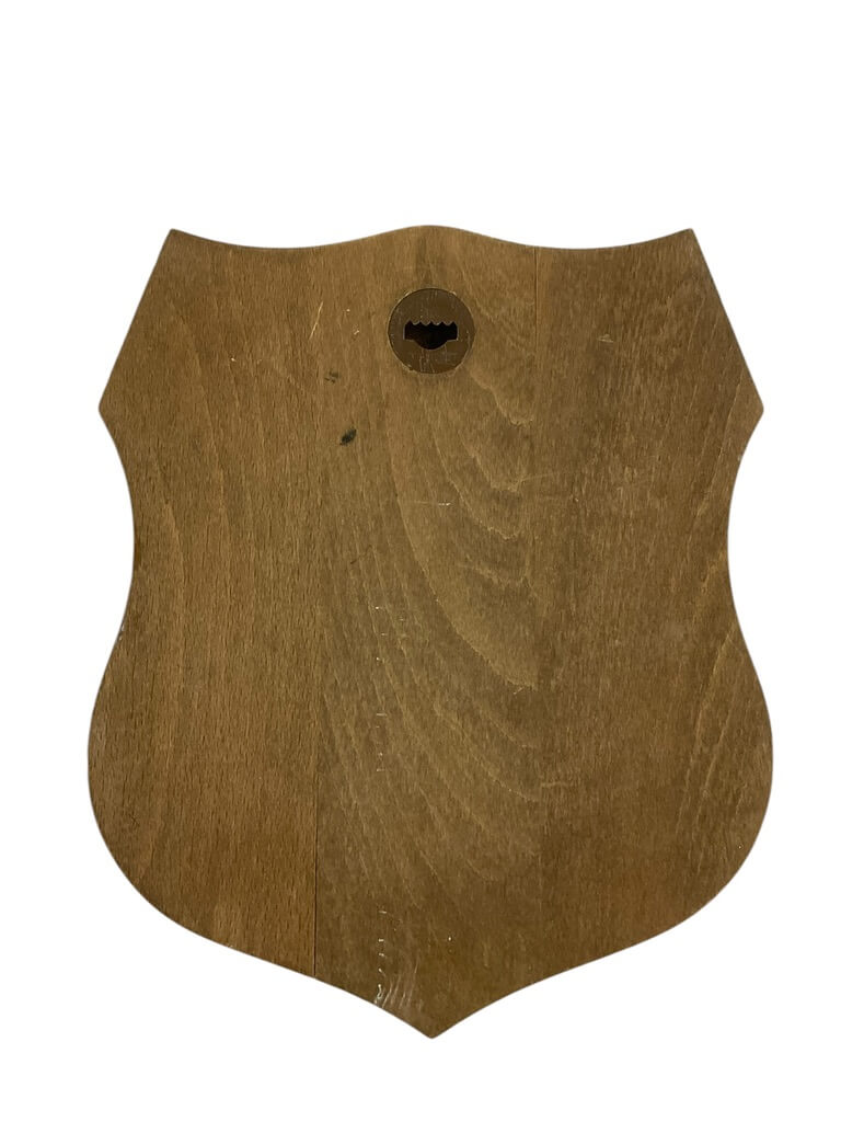 Royal Canadian Air Force RCAF Air Maintenance Squadron Wood Plaque 9 X 8 Inches Royal Canadian Air Force RCAF Air Maintenance Squadron Wood Plaque 9 X 8 Inches