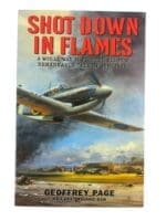WW2 British RAF Guinea Pig Shot Down in Flames Fighter Pilot SC Reference Book WW2 British RAF Guinea Pig Shot Down in Flames Fighter Pilot SC Reference Book