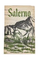 WW2 US Salerno Historial Division US War Department Used Softcover Reference Book