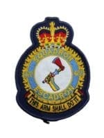 Canadian Forces RCAF 422 Squadron Heraldic Colour Crest Patch Vintage