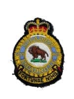 Canadian Forces 429 Squadron Heraldic Colour Crest Patch Vintage Canadian Forces 429 Squadron Heraldic Colour Crest Patch Vintage