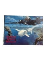 WW2 German Luftwaffe German Guided Missles Reference Book