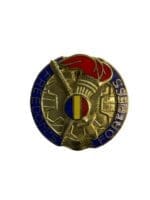 US Army DUI Distinctive Uniform Insignia Training and Doctrine Command TRADOC Badge Pin