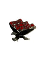 US Army DUI Distinctive Uniform Insignia 101st Aviation Battalion Badge Pin