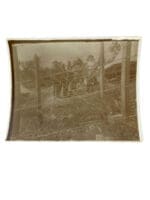 Boer War Dutch POW Photo Bermuda (7)