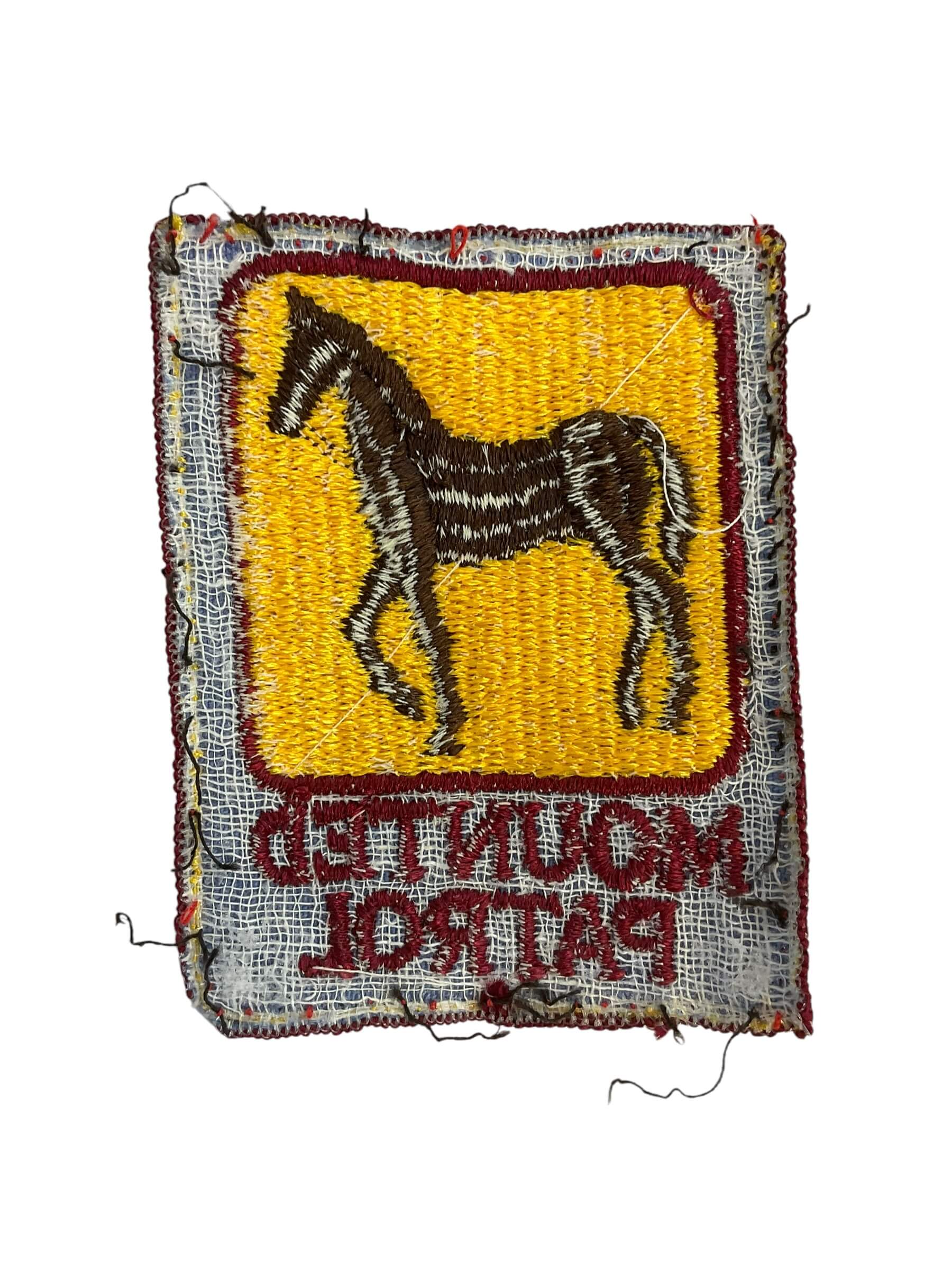 US Boston Massachusetts Mounted Patrol Police Patch US Boston Massachusetts Mounted Patrol Police Patch