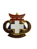 US Army DUI Distinctive Uniform Insignia 301 Combat Field Hospital Badge Pin