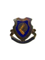 US Army DUI Distinctive Uniform Insignia 34th Armoured Tank Battalion Badge Pin