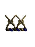 US Army DUI Distinctive Uniform Insignia 20th Infantry Regiment Badge Pin