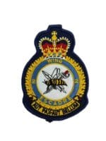 Canadian Forces RCAF 2 Wing Heraldic Crest Patch Vintage