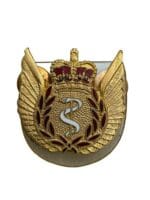 Canadian Forces Aeromedical Evacuation Trade Wing Metal