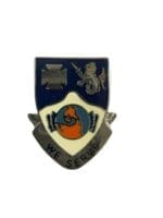 US Army DUI Distinctive Uniform Insignia 23 Infantry Badge Pin