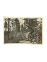 WW2 Finnish Mountain Troops Postcard 5.5 X 4 Inches (2)
