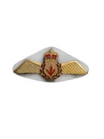Canadian Forces RCAF AESOP Wings Metal