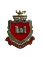 US Army DUI Distinctive Uniform Insignia Corps of Engineers USACE Badge Pin