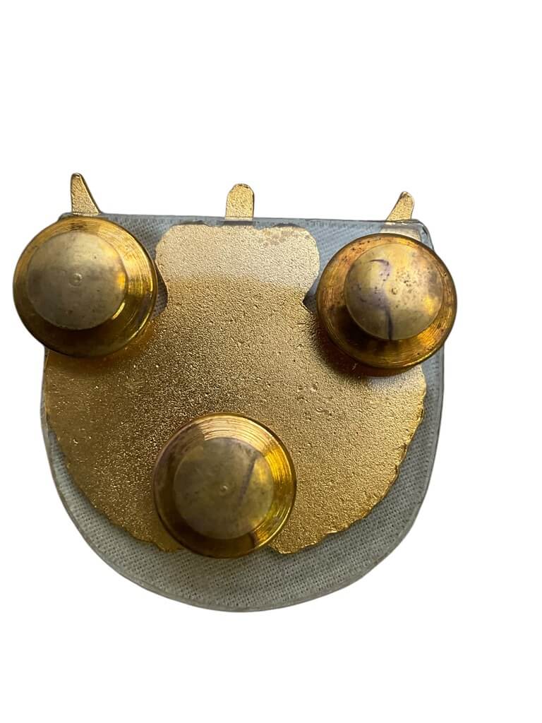 Canadian Forces Aeromedical Evacuation Trade Wing Metal Canadian Forces Aeromedical Evacuation Trade Wing Metal