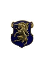 US Army DUI Distinctive Uniform Insignia 6th Cavalry Regiment Regiment Badge Pin