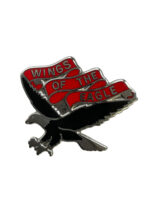 US Army DUI Distinctive Uniform Insignia 101st Aviation Regiment Badge Pin