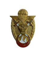Algeria Algerian ANP Army Paratroop Regiment Cap Badge