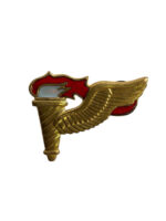 US Army Pathfinder Metal Trade Badge