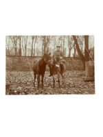 WW1 Imperial German Photograph 6