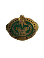 US Army DUI Distinctive Uniform Insignia Drill Sergeant Badge Pin