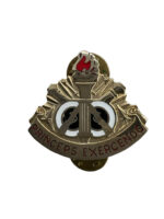 US Army DUI Distinctive Uniform Insignia 108th Training Command Badge Pin