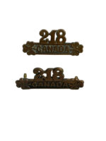 WW1 Canadian CEF 218th Battalion Edmonton Irish Shoulder Titles Insignia Pair