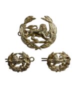 Rhodesian Army Regiment Cap Badge and Collars Insignia Staybrite Set